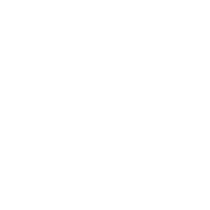 Reconditioned Mini Engines