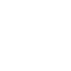 Reconditioned Volkswagen Engines